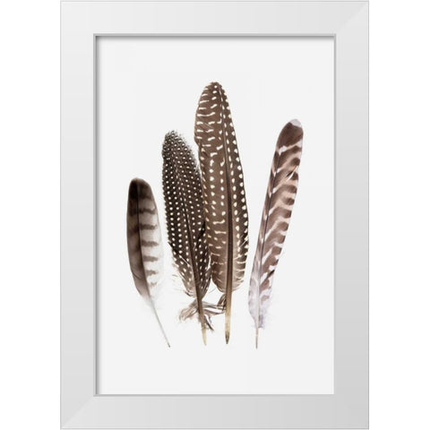 Feathers II White Modern Wood Framed Art Print by PI Studio