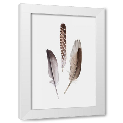 Feathers III White Modern Wood Framed Art Print by PI Studio