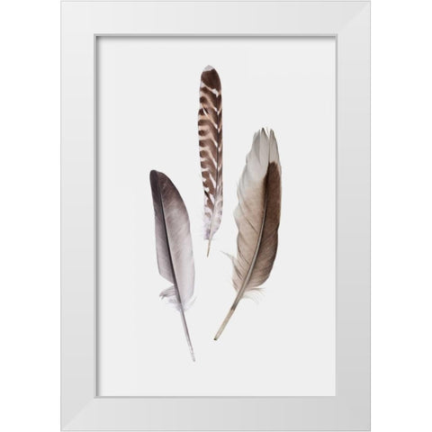 Feathers III White Modern Wood Framed Art Print by PI Studio