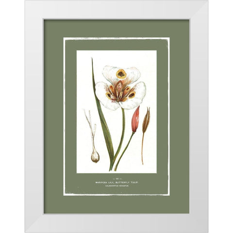 Green Botanics I  White Modern Wood Framed Art Print by PI Studio