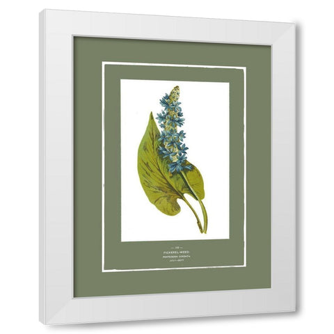 Green Botanics II White Modern Wood Framed Art Print by PI Studio