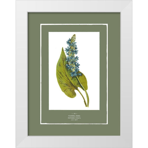 Green Botanics II White Modern Wood Framed Art Print by PI Studio