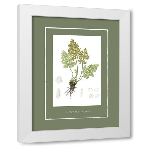 Green Botanics III White Modern Wood Framed Art Print by PI Studio