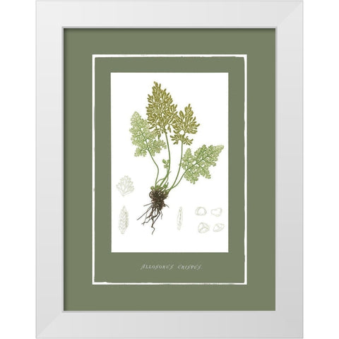 Green Botanics III White Modern Wood Framed Art Print by PI Studio