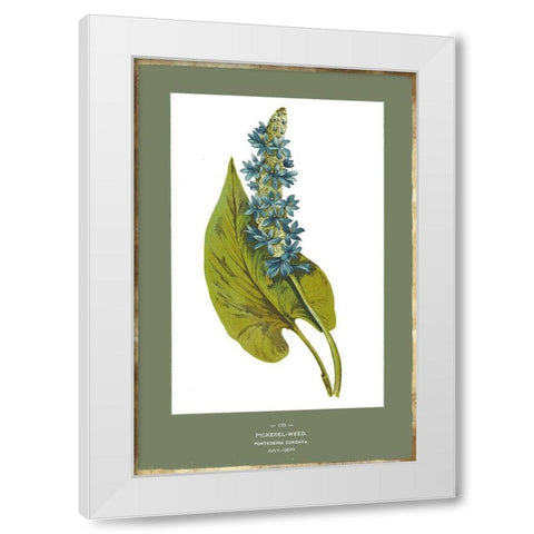 Green Botanics V White Modern Wood Framed Art Print by PI Studio