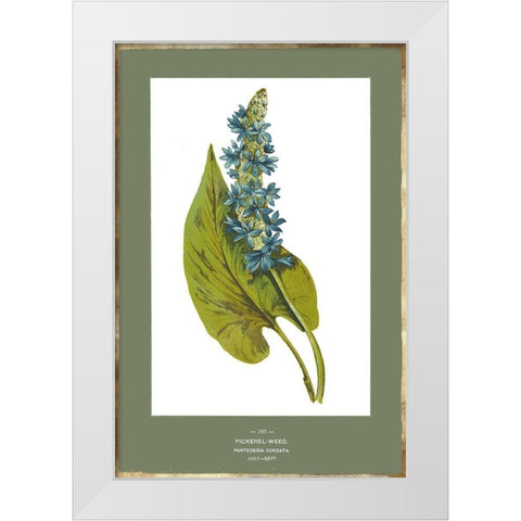 Green Botanics V White Modern Wood Framed Art Print by PI Studio