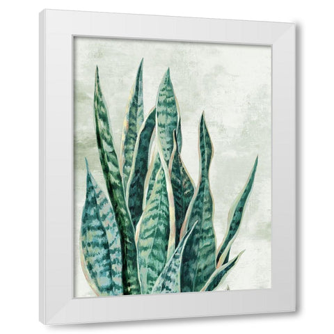 Reaching Snake Plant White Modern Wood Framed Art Print by PI Studio