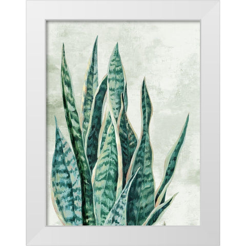 Reaching Snake Plant White Modern Wood Framed Art Print by PI Studio