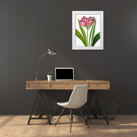 Blooming Pink White Modern Wood Framed Art Print by Pi Studio