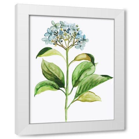 Little Hydrangea White Modern Wood Framed Art Print by Pi Studio