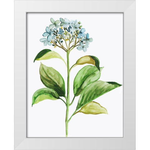 Little Hydrangea White Modern Wood Framed Art Print by Pi Studio