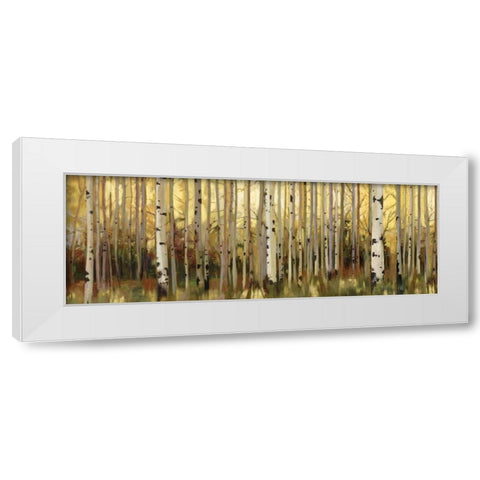 Forest Light White Modern Wood Framed Art Print by Pearce, Allison