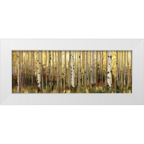 Forest Light White Modern Wood Framed Art Print by Pearce, Allison