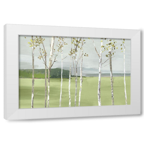 Birch Valley White Modern Wood Framed Art Print by Pearce, Allison