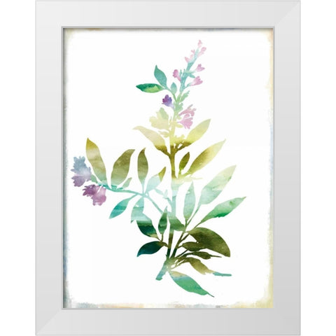 Summer Botanical III White Modern Wood Framed Art Print by PI Galerie
