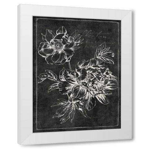 Black Botanical I White Modern Wood Framed Art Print by PI Galerie