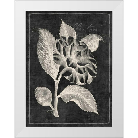 Black Botanical II White Modern Wood Framed Art Print by PI Galerie