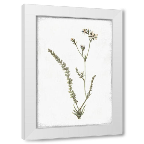 Little Flower I White Modern Wood Framed Art Print by Pi Studio