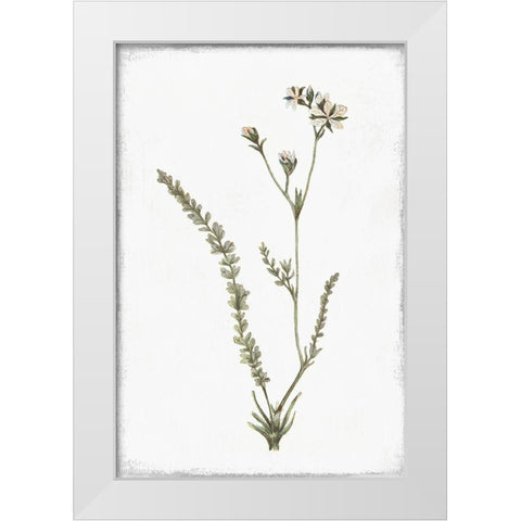 Little Flower I White Modern Wood Framed Art Print by Pi Studio