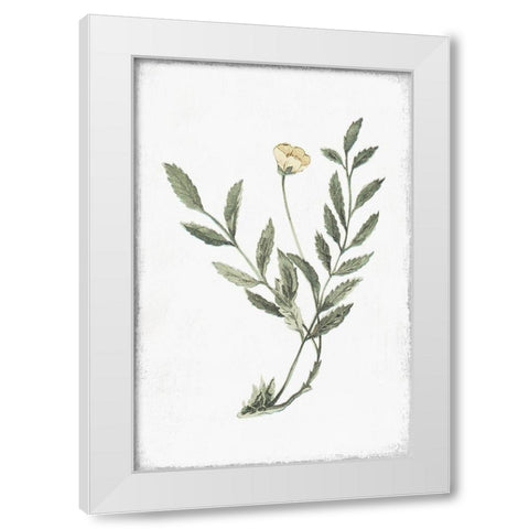Little Flower III White Modern Wood Framed Art Print by Pi Studio