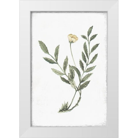 Little Flower III White Modern Wood Framed Art Print by Pi Studio