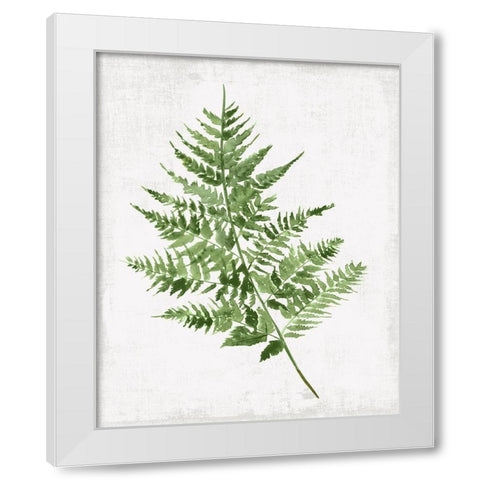 Fern Pressing II White Modern Wood Framed Art Print by PI Studio