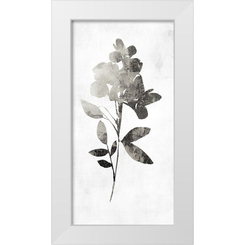 PI Studio White Modern Wood Framed Art Print by A Shadow Of A Flower I