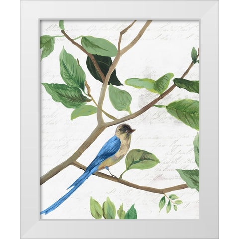 Spring Bird II White Modern Wood Framed Art Print by PI Studio