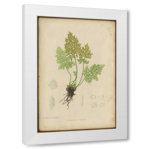 Roots  White Modern Wood Framed Art Print by PI Collection