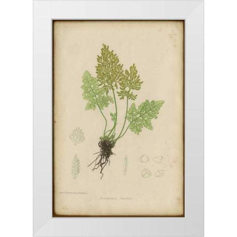 Roots  White Modern Wood Framed Art Print by PI Collection
