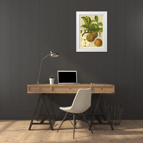 Russet Apples I White Modern Wood Framed Art Print by PI Collection