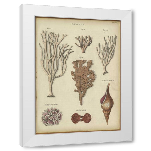 Sponge White Modern Wood Framed Art Print by PI Collection