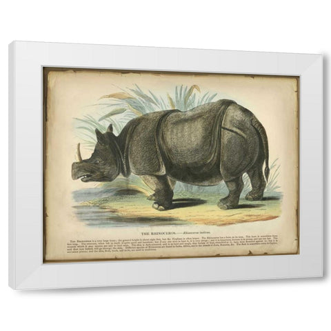 Rhino White Modern Wood Framed Art Print by PI Collection