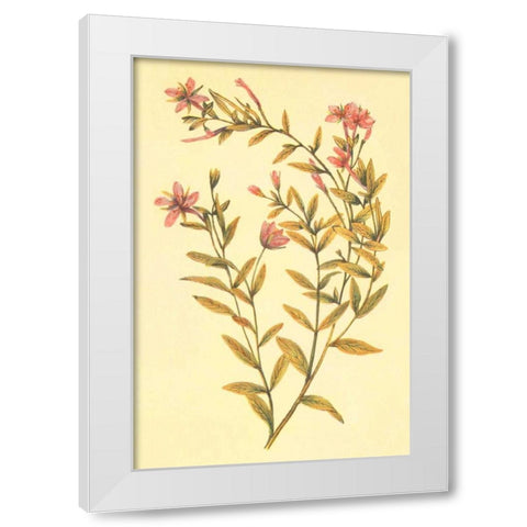 Broad Leaved Fireweed White Modern Wood Framed Art Print by PI Collection