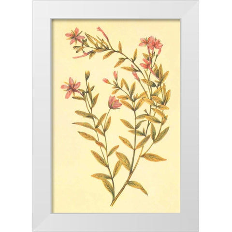 Broad Leaved Fireweed White Modern Wood Framed Art Print by PI Collection