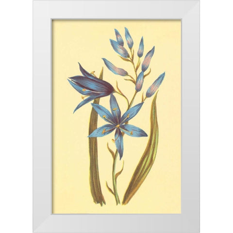 Camass and Wild Hyacinth White Modern Wood Framed Art Print by PI Collection