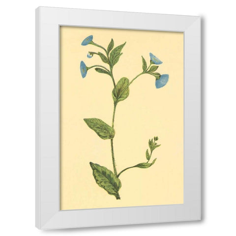 Common Fleabean White Modern Wood Framed Art Print by PI Collection