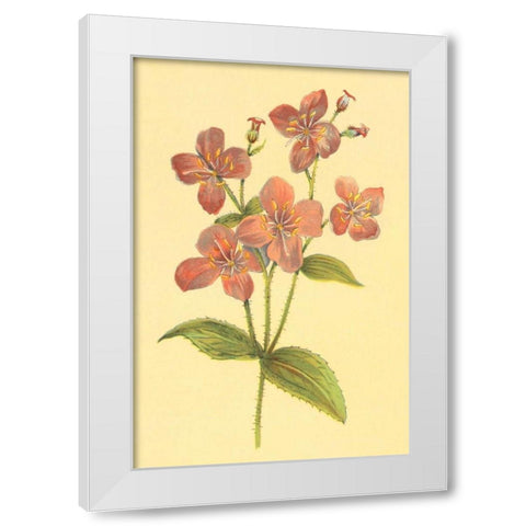 Deer Grass and Meadow Beauty White Modern Wood Framed Art Print by PI Collection