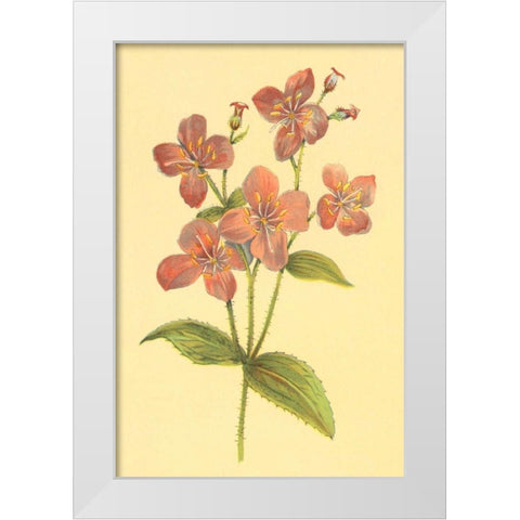 Deer Grass and Meadow Beauty White Modern Wood Framed Art Print by PI Collection