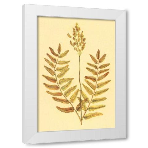 Flowering Fern White Modern Wood Framed Art Print by PI Collection