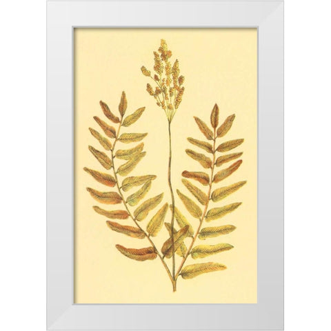 Flowering Fern White Modern Wood Framed Art Print by PI Collection