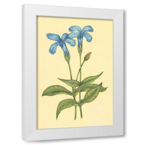 Finged Gentian White Modern Wood Framed Art Print by PI Collection