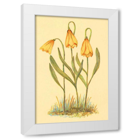 Fritillary White Modern Wood Framed Art Print by PI Collection
