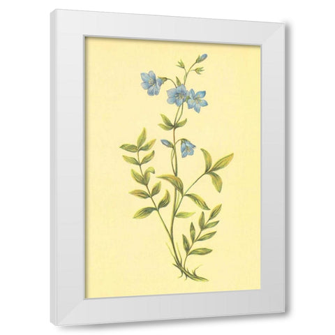 Greek Valerian White Modern Wood Framed Art Print by PI Collection