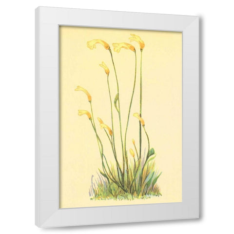 One Flowered Root White Modern Wood Framed Art Print by PI Collection