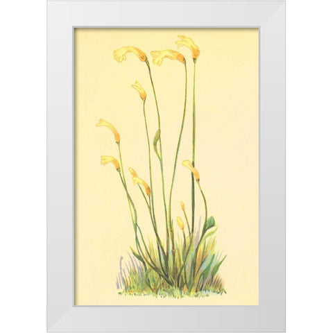 One Flowered Root White Modern Wood Framed Art Print by PI Collection