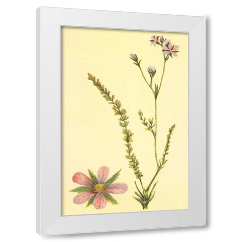 Purplish Horkelia White Modern Wood Framed Art Print by PI Collection