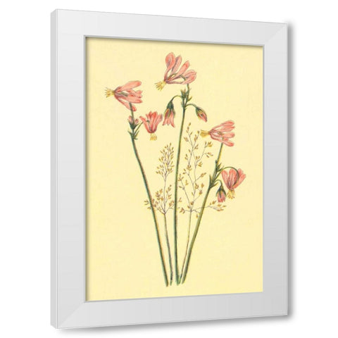 Shooting Star White Modern Wood Framed Art Print by PI Collection