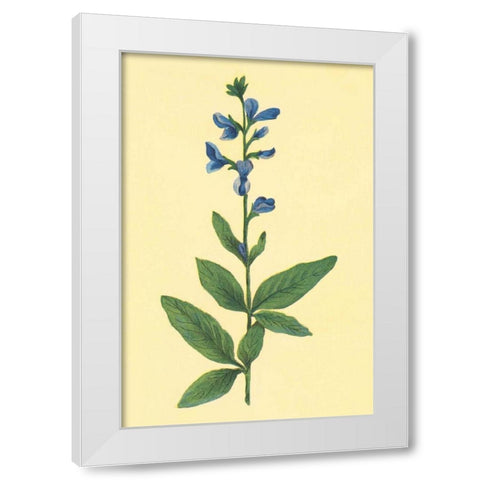 Tick Trefoil White Modern Wood Framed Art Print by PI Collection