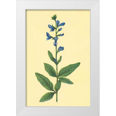 Tick Trefoil White Modern Wood Framed Art Print by PI Collection